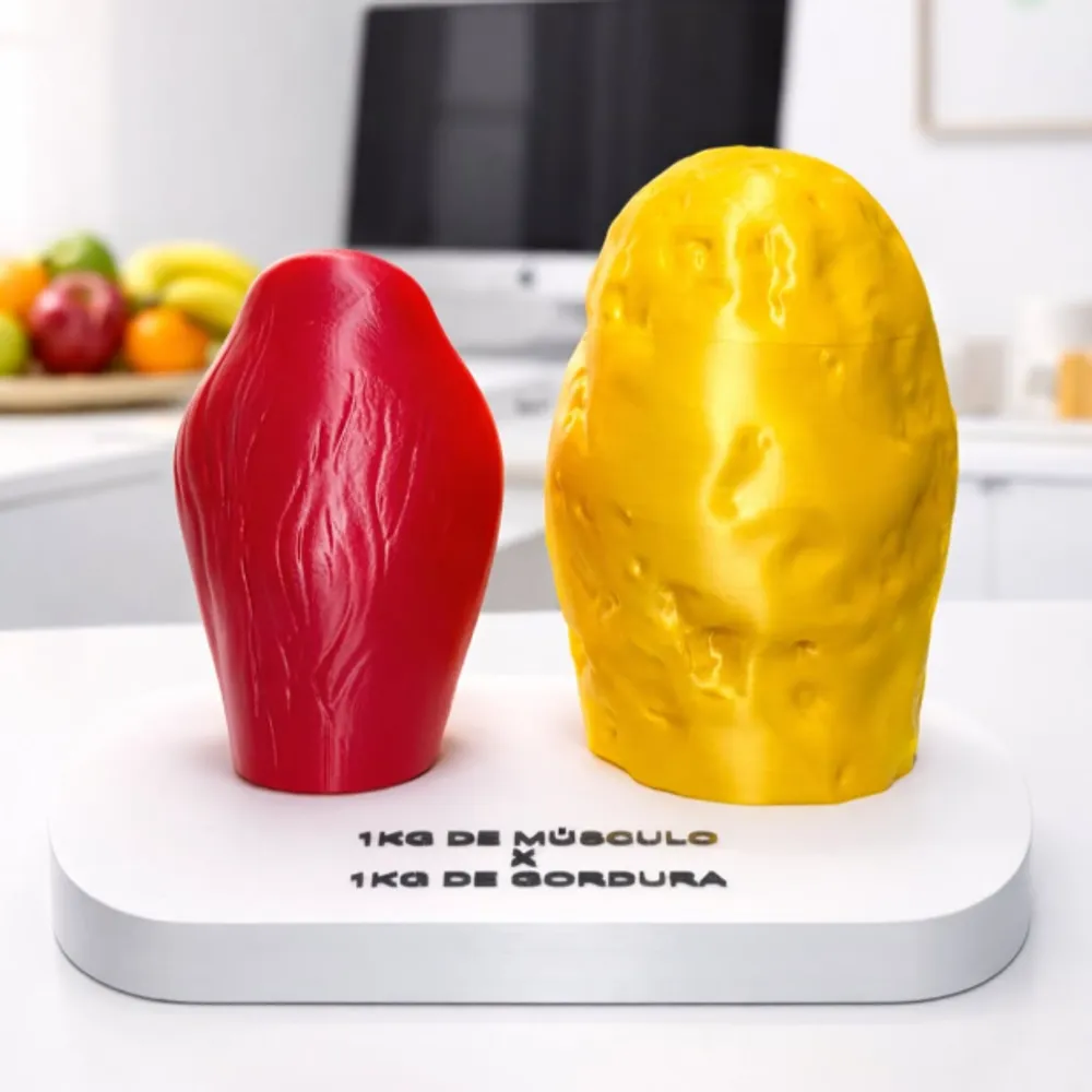 Comparativo 3D de Músculo x Gordura